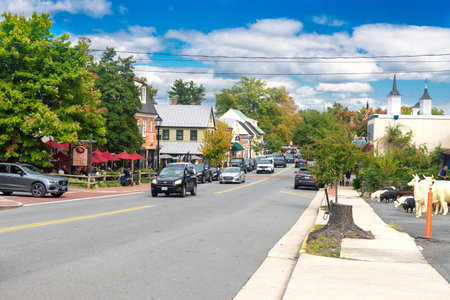 Junk Removal in Hyattsville, MD, Cave Man Junk Removal