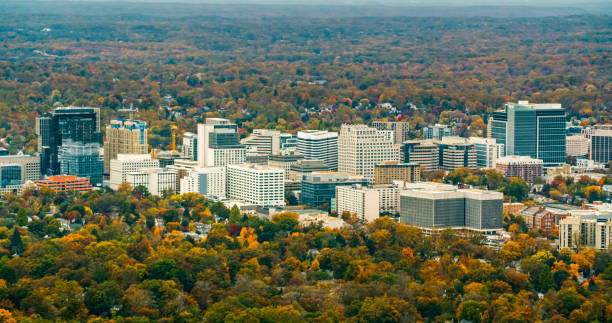 Junk Removal North Bethesda, MD, Cave Man