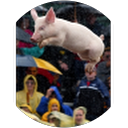 Walter Wisniewski profile picture