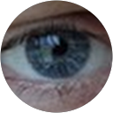Michael Daly profile picture